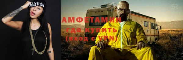 шишки Нея