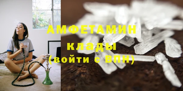 шишки Нея