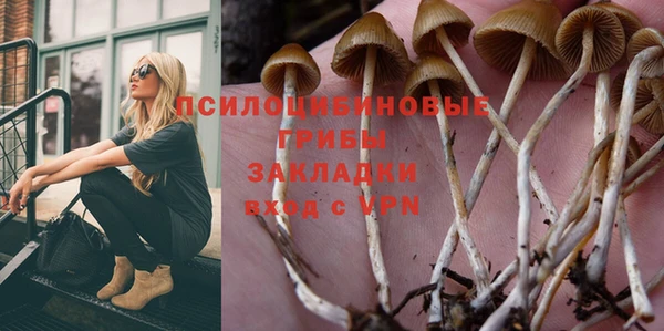 шишки Нея