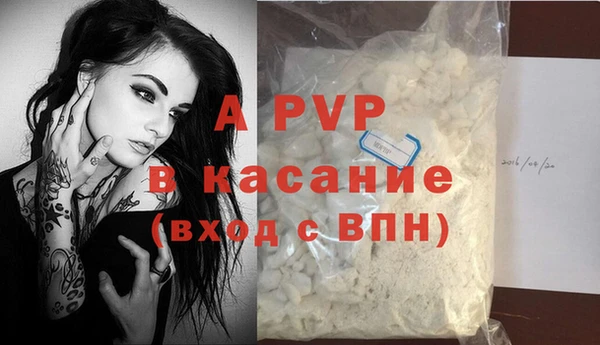 шишки Нея