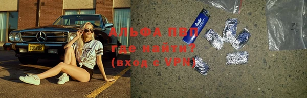 шишки Нея