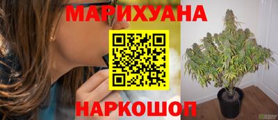 прущие грибы Кинель