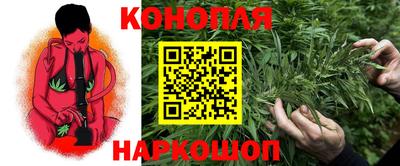 таблы Кингисепп